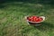 Strawberries basket on green lawn background