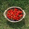 Strawberries basket on green lawn background