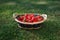 Strawberries basket on green lawn background