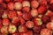 Strawberries berry wild bunch