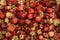 Strawberries berry wild bunch background