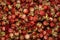 Strawberries berry wild bunch background