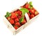 Strawberries in a Box on white Background