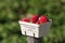 Strawberries in cardboard box,close up