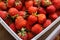 Strawberries in containers. Tasty berry. Red strawberry