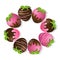 Strawberries delicious chocolate dipped top view Vector background