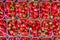 Strawberries displayed in plastic boxes flat lay view