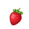 Strawberries Fruit berry illustration