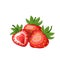 Strawberries fruit icon