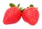 Strawberries fruits macro strawberry