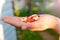 Strawberries on the hand palm with flowers in garden