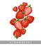 Strawberries isolated on white background.Summer berries vector in cartoon style
