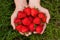 Strawberries in male hands