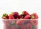Strawberries market package with a greenhouse background