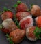 Strawberries with mold on slate plate and white background