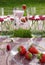 Strawberries picnic