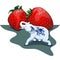 Strawberries and a porcelain elephant