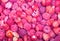 Strawberries and raspberries pink background