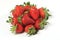Strawberries seasonal fruit farming Emilia Romagna Italy