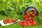 Strawberries and strawberry plants