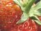 Strawberries strengthen the immune system, background