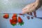 Strawberries in water while a hand washes them