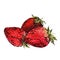 Strawberries. watercolor painting