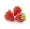 Strawberries on a white background