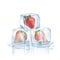 Strawberry in 3 melted ice cubes