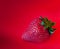 Strawberry against red background
