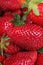 Strawberry background. Strawberries as pattern texture. Red sweet fresh strawberries as texture. Strawberry pattern as