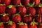 Strawberry background of whole strawberries. Colorful ripe strawberries. Fruit background. Strawberry pattern. Spring, summer bac