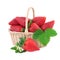 Strawberry basket