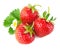 Strawberry berry with green leaf and flower