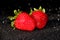 Strawberry on a black background. Brilliant background with berries