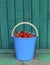 Strawberry in blue bucket