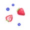 Strawberry and blueberry. Hand drawn watercolor illustration. Isolated on white background.