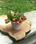 Strawberry bouquet on a wooden stand in the garden. summer story