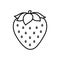 Strawberry cartoon line art outline coloring book page for kids