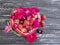 Strawberry, cherry, blueberry plate heart, flower rose on a black wooden background