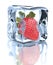 Strawberry chilled in Ice cube on white background cuto
