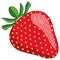 Strawberry-Clean and stylish design