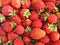 Strawberry close up - berry background