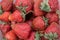 Strawberry close up. Fresh harvest strawberries background.