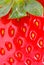 Strawberry closeup detail