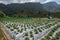 Strawberry cultivation in Vattavada village