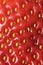 Strawberry detail