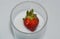 Strawberry drop on milk glass