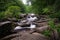 Strawberry Falls, gorges state park, near toxaway north carolina