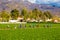 Strawberry Field Agriculture Workers